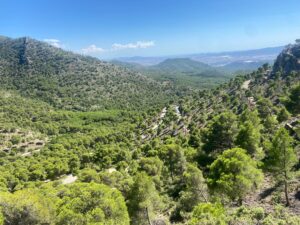 Why the Sierra Espuña should be on every cyclist's bucket list - Murcia Bike Hire